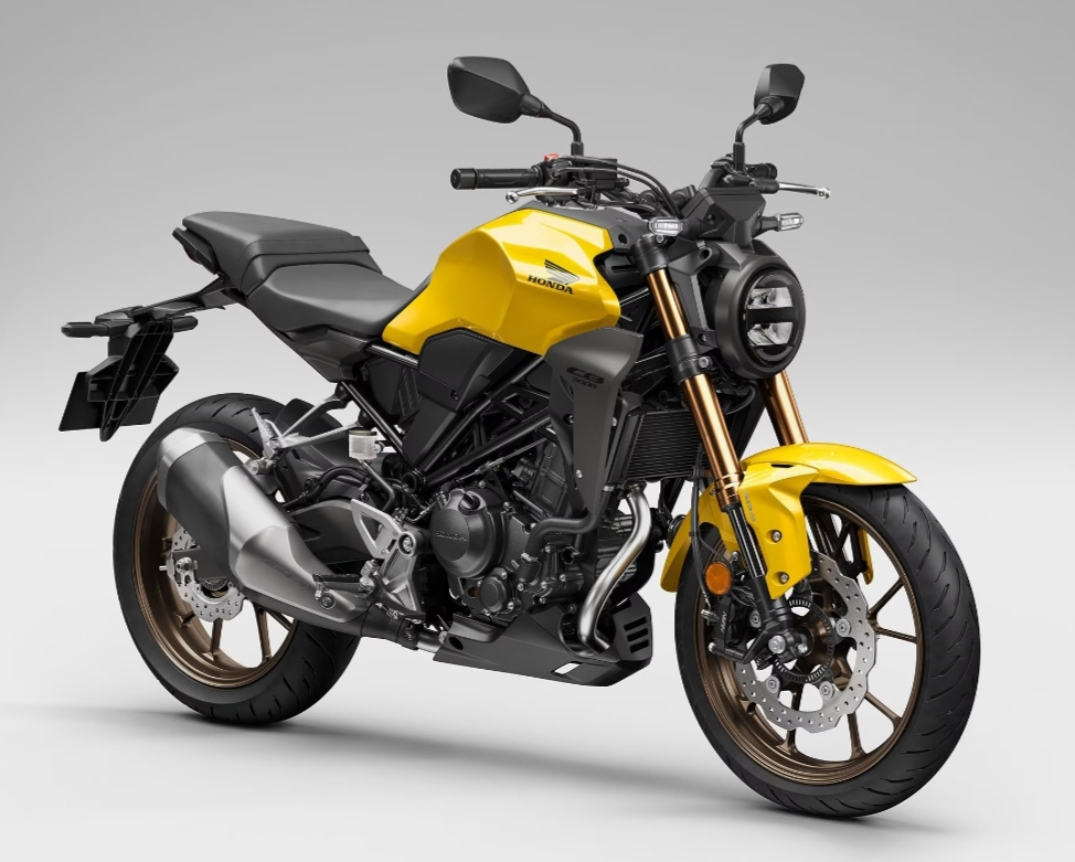 1000039724 Is Honda CB300R Discontinued in India